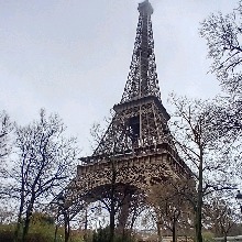 Guest_Enzo428759