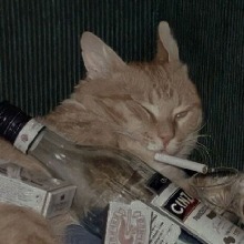 Michifu