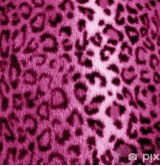 Guest_Lolaxxx11