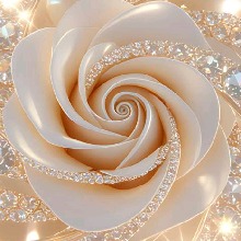 Guest_Gunel3