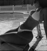 Guest_elena186598