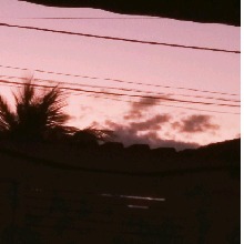 Guest_Lanabbyyxx