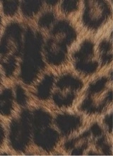 Guest_Zayna25