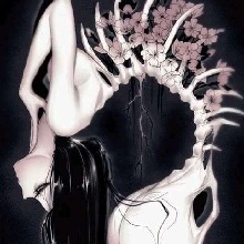 foto del avatar