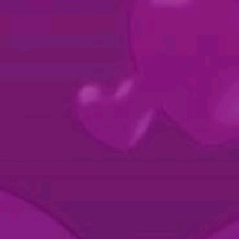 Guest_Aisha530