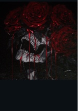 Xergeno
