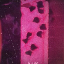 Guest_digitalwarning9II