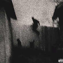 Guest_TreyVGV