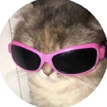 Guest_Milenabby