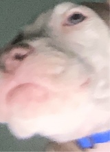 Guest_jayso4