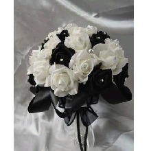 Guest_Lorena520320