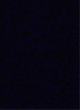 Guest_Mouna271073