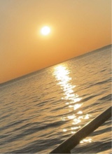 Guest_sofia474423