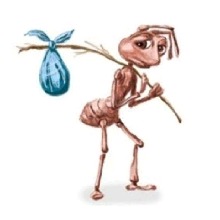 yngpkrl
