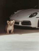 Guest_xxjordyxx12