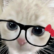 Guest_Michh30