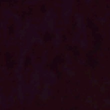avatar-billede