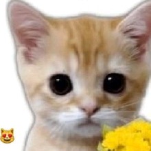 Guest_Jhhonn1