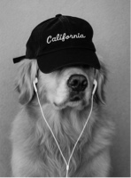 Guest_Cole7788