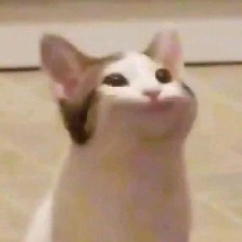 Guest_allethaaa