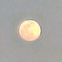 lshtar