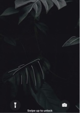 Guest_MKx69
