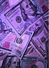 Guest_kashmoney205972