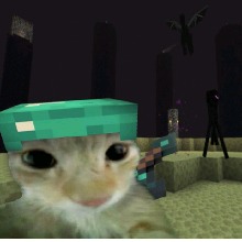 Guest_Alexitooou