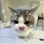 Guest_miki2805