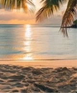 Guest_carly824672