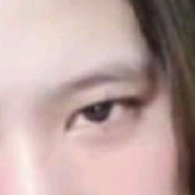 Guest_Zipporah21