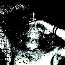 Guest_Matatetete