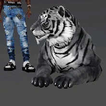 Guest_Travis31360