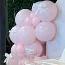 Guest_Ashanti239138