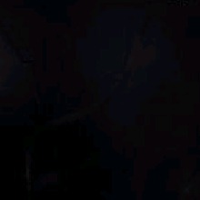 Guest_lvxzr
