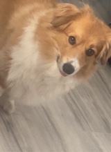 Guest_Srdraco2