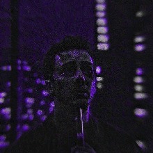 Guest_Alex776512