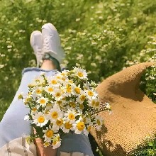 Guest_LittleFairyDaisy