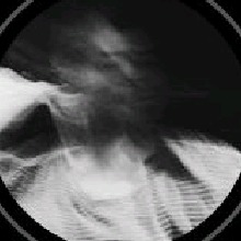 Guest_Brenop1