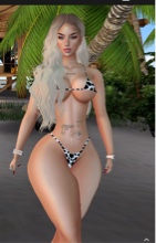 NDusk