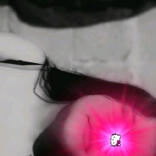 Guest_Leiii13