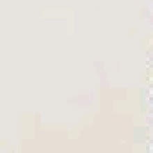 Guest_Anny404729