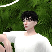 Guest_Zullz1
