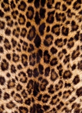 Guest_nicolelovesyouu