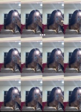 Guest_regis512088
