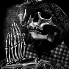 Guest_pollo821
