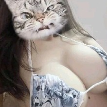 Guest_Lindaprimor