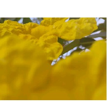 Guest_Jenne4