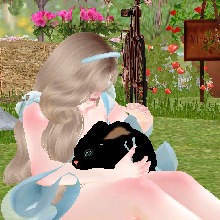 Guest_Palin4