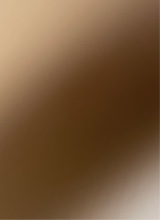 Guest_Loyalty225